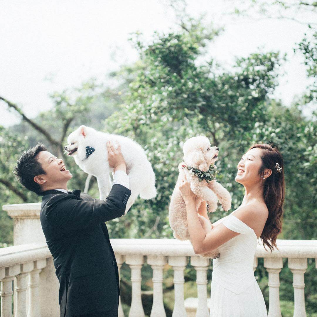 Our Big Day - Hong Kong Wedding Platform - Photographers Follow Instagram - Image